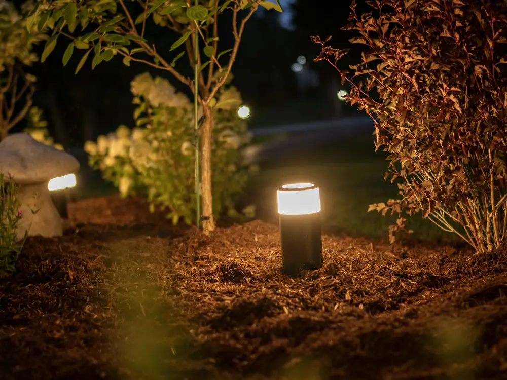Low path lights glowing in a planted bed at night